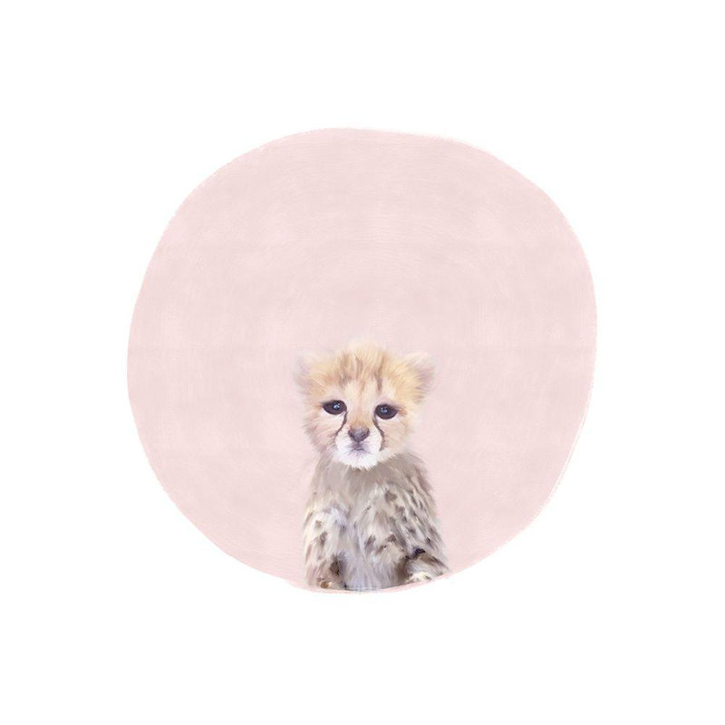 ArtDirect Straatsma, Leah Gallery Wrapped Canvas Art Titled: Baby Cheetah Pink, 36" H x 36" W