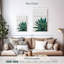 Cactus Harnek Agave-108548037