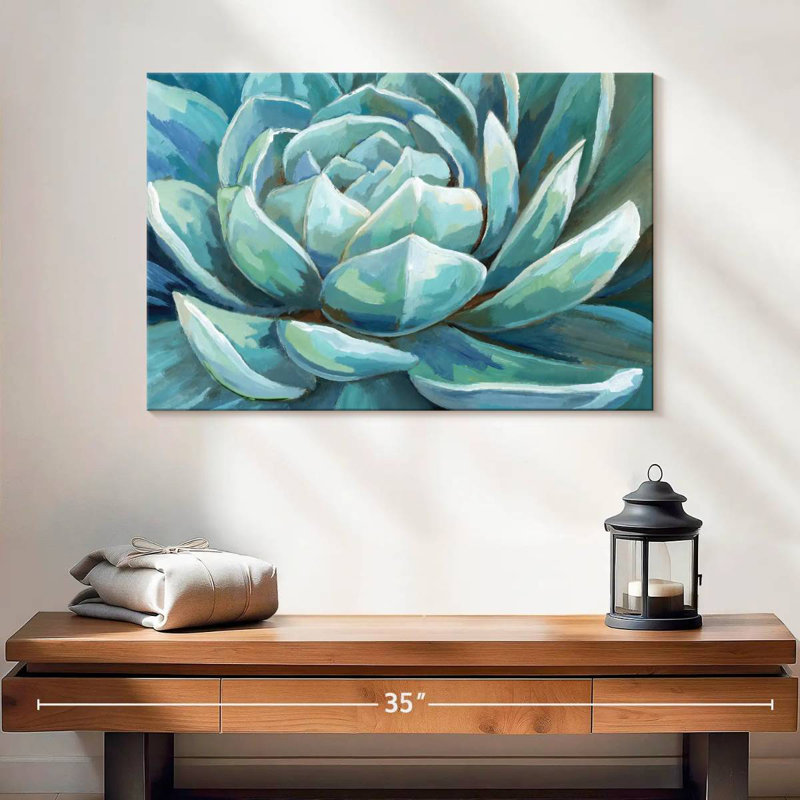 Plante grasse Harnek Cerulean, H 16 po x l 24 po