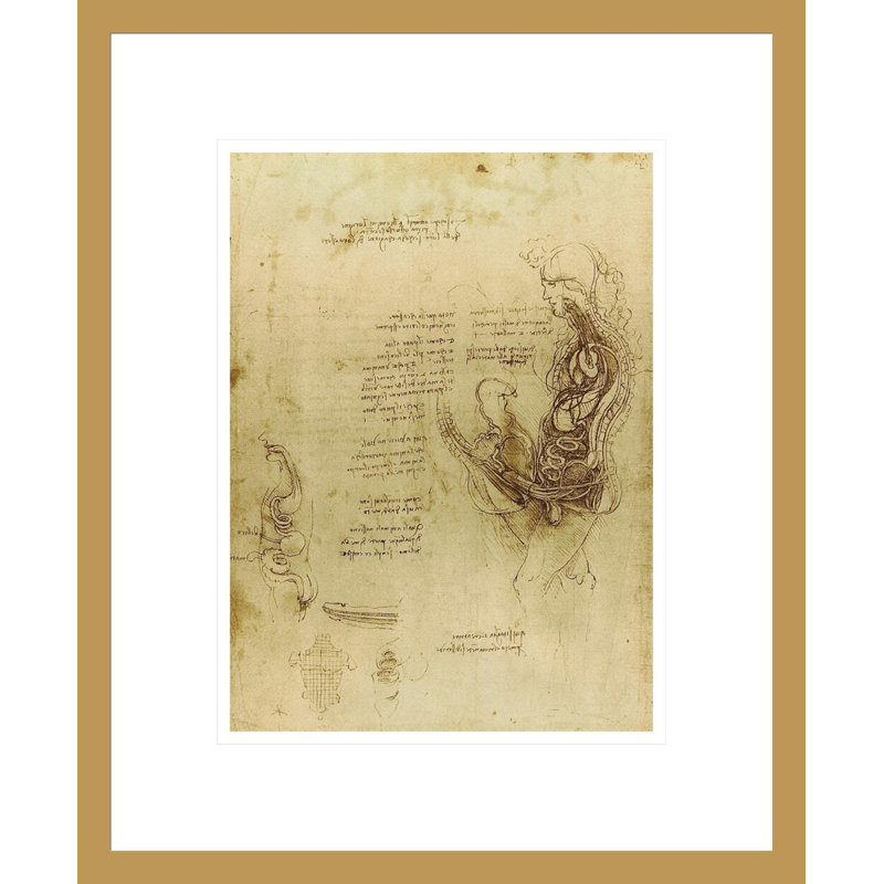 Étude de la coition d'un homme et d'une femme hémisectés par Leonardo Da Vinci - Impression Giclée encadrée