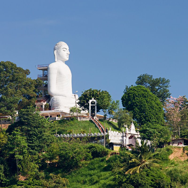 Buddha Statue, Sri Lanka, Kandy by Hadynyah - Wrapped Canvas Print, 76cm H x 76cm W x 3.8cm D