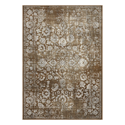 Raashid Oriental Indoor Rug