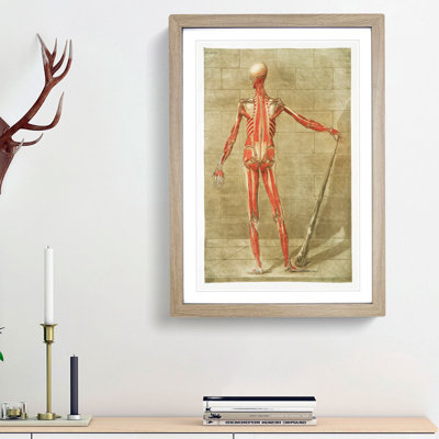 Anatomical Illustration of a Male No. 7 by Gautier-Dagoty - Picture Frame Painting Print