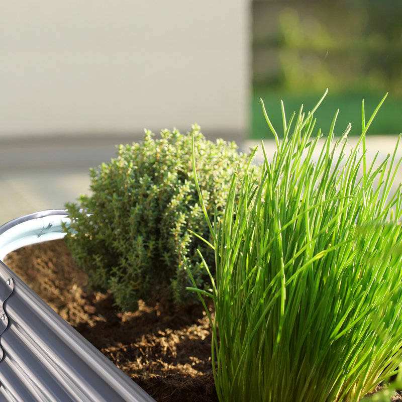 Lit de jardin surélevé Roede, Gris, H 11,1 po x l 96 po x P 24 po