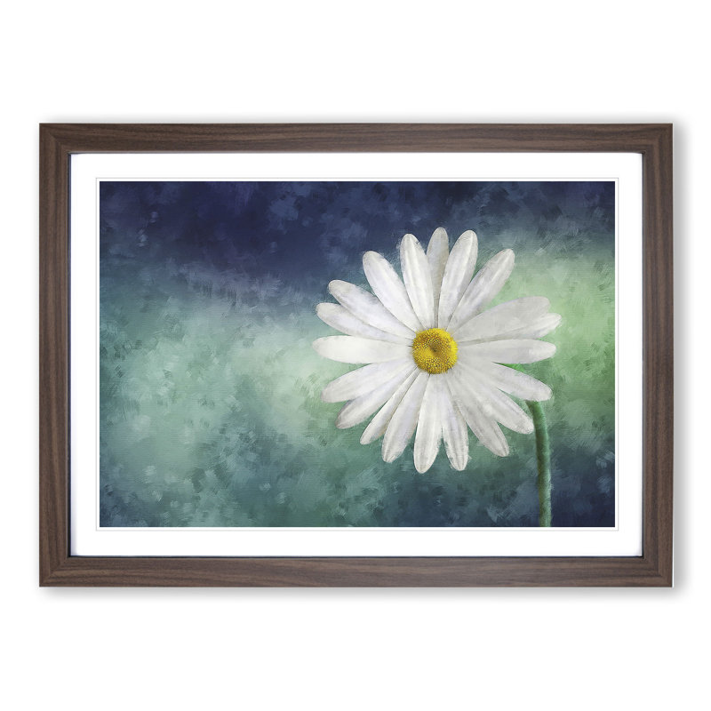 White Daisy Vol.2 Painting - Picture Frame Graphic Art, Walnut, 36cm H x 48cm W x 2cm D