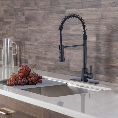 PROOX Pull Down Kitchen Faucet