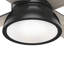 132cm Ceiling Fan with Light Kit-82614492-82614493