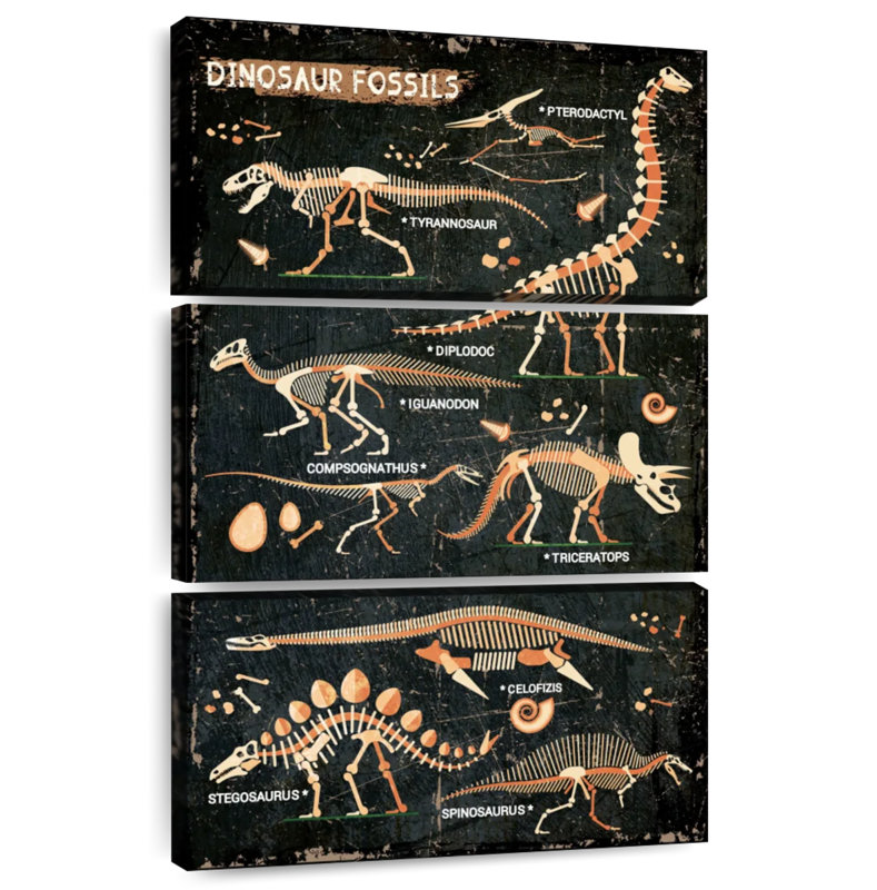 Ashelle Dinosaur Fossils Chart, 32" H x 20" W