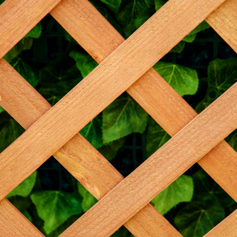 Lit de jardin surélevé en bois avec treillis Outsunny