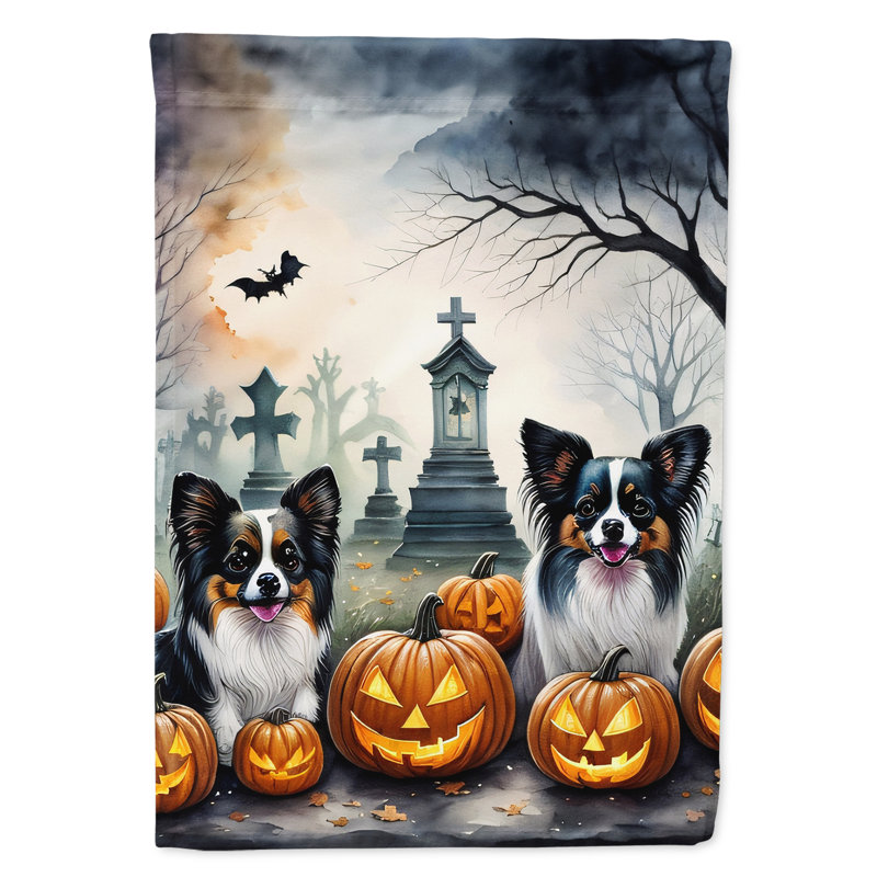 Drapeau de maison d'Halloween en polyester à double face H 40 po x l 28 po
