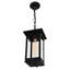 Luminaire suspendu d'extérieur noir 1 lumière Oakwood