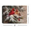 Pirro - Toile de table éclairée 8 x 6 Snow Angels