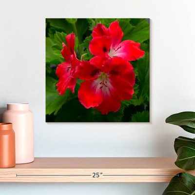 Harnek Red Hibiscus Flowers
