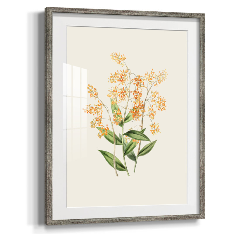 Estampe florale vintage LXII - Estampe botanique vintage, encadrée sous verre acrylique, décoration murale pour salon et salle à manger