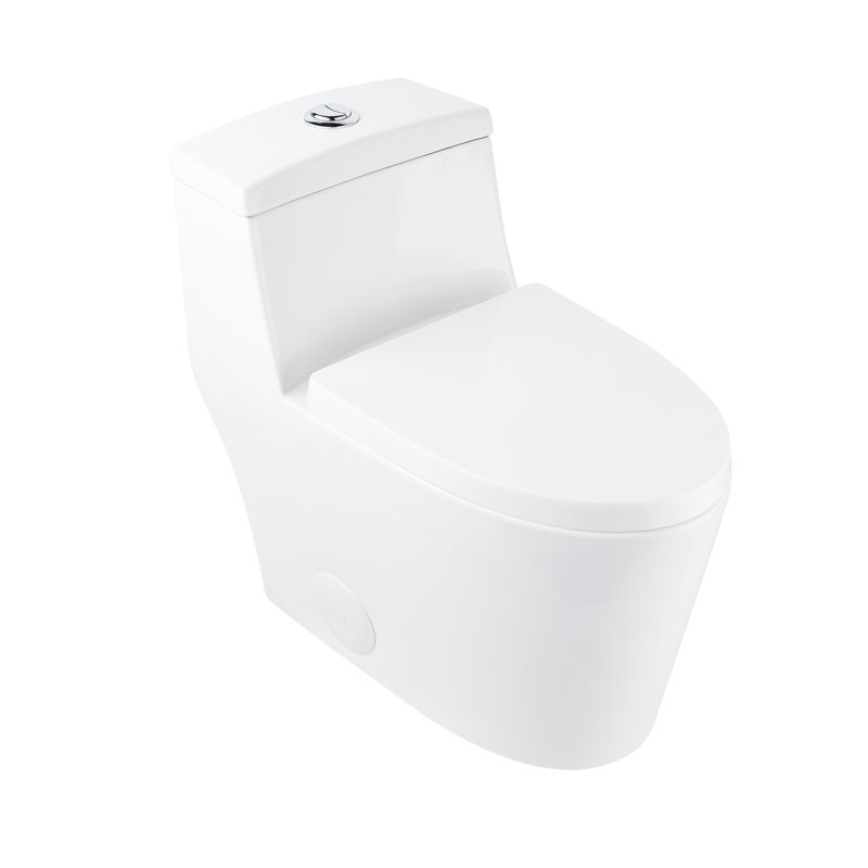 Toilette allongée monobloc DeerValley Prism, Blanc/chrome, 10"
