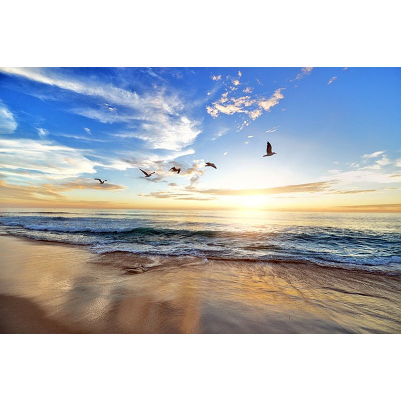 «Sunrise Serenity - Seagulls on the Shore», art sur toile