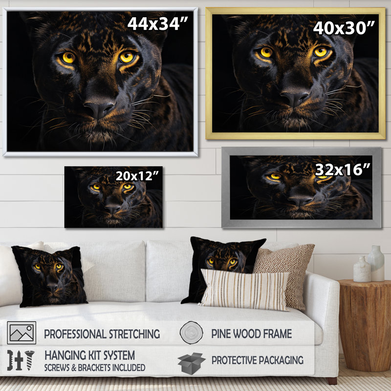 Noir, panthère blanche et majestueuse panthère, Cadre flottant doré, H 30 po x l 40 po x P 1,5 po
