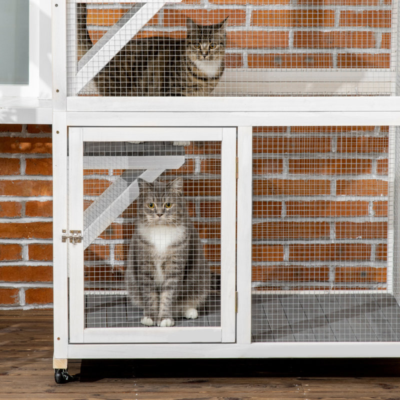 Maison d'extérieur pour chat 74 po, Gris