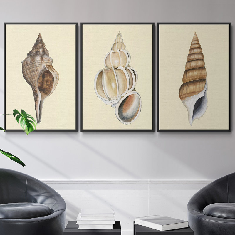 Ensemble de 3 coquillages à tons neutres I, encadré sur toile, Noir, H 40 po x l 78 po