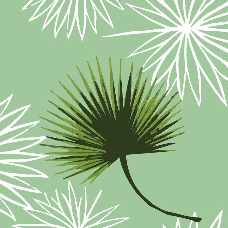 Cabbage Palm 10' L x 24" W Peel and Stick Wallpaper Roll, Black, Faux Grasscloth