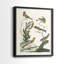 Oiseaux antiques dans la nature, impression encadrée de qualité supérieure - prête à être accrochée - aucun clou requis - aucun clou requis-1103485937-1103485943