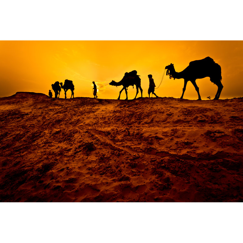 Camel Caravan par Adamkaz, H 32 po x l 48 po