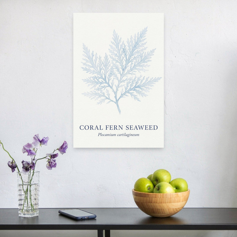Blue Coral Fern Delicate Minimalist Organic Fern Coastal Nature Wall Art Print 1 Piece Wrapped Canvas Wall Art