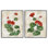 Floral Journal Red Flower, ensemble de 2 giclées encadrées, design par Paul Brent