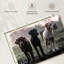 Brampt Labrador Dogs-107680570