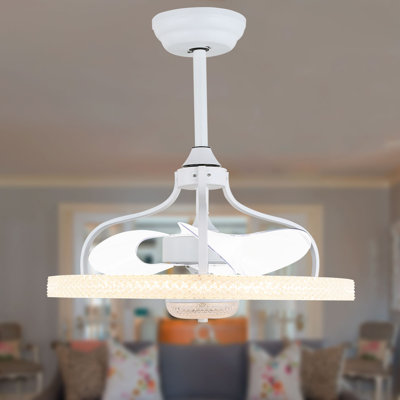 Andella Ceiling Fan with LED Lights