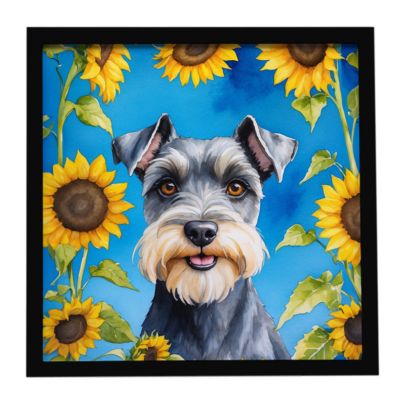 Schnauzer avec tournesols, impression sur métal encadrée