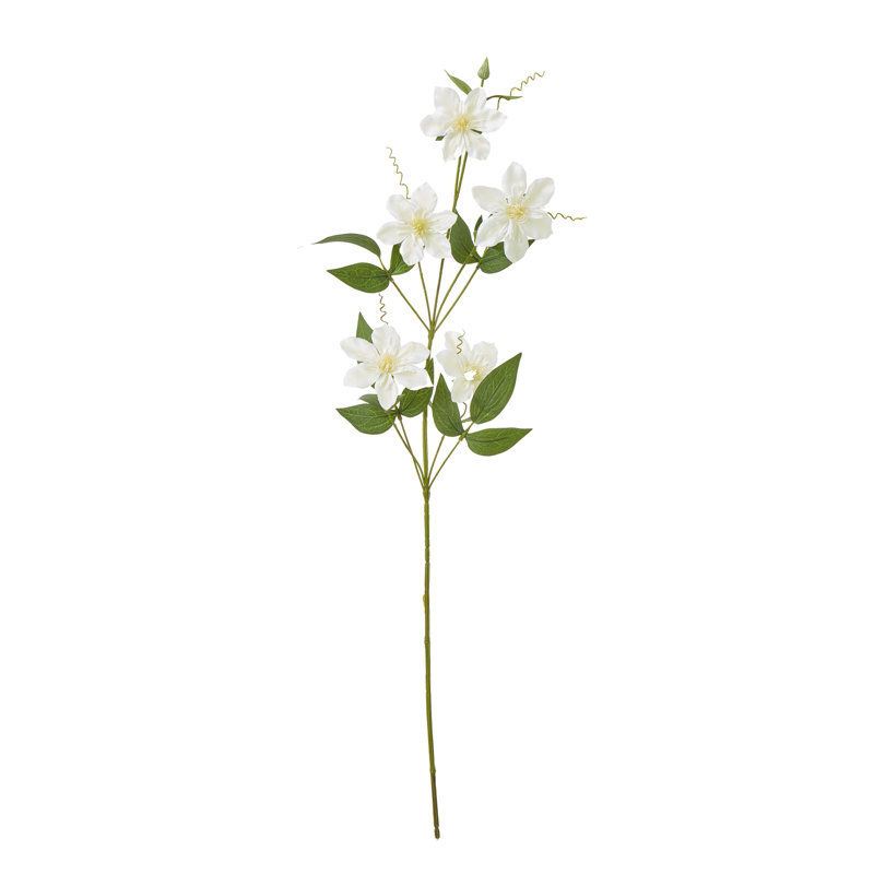 Arrangement