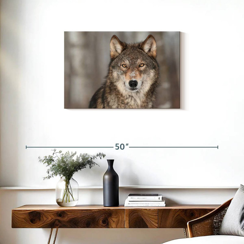 Loup gris Brampt, H 20 po x l 30 po