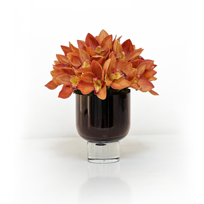 CYMBIDIUM ORCHID OPEN IN A GLASS