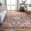 Tapis oriental Donnetta 300 Performance-1513246484