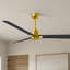 Alessandra Outdoor Downrod Ceiling Fan-1465003973-1465004013
