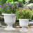 Tralee Neoclassic Resin Urn Planter -95080263-95083965