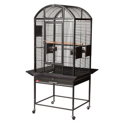 Cage à oiseau 24 "x 22" à dôme noir par A&E