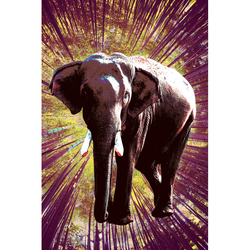 Elephant - No Frame Print on Wood