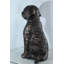 Statue de chien Nendao en aluminium Goldendoodle avec détail de fourrure bouclée - Sculpture pour animal de compagnie de style bronze pour l'intérieur et l'extérieur - 21 po x 11 po x H 27 po