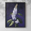Série FLORAL CCXVIII - Impression encadrée de qualité supérieure - Prêt à être accroché - Aucun clou requis-227731468-227731456