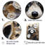 «Mischief Blooming Raccoon Portrait», reproduction sur toile-97082272-97082275
