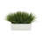 Faux Onion Grass in Ceramic Planter-1726304821-1726252343-1726304820