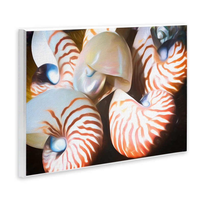 Nautilus, coquillages en grappe, art mural par Graffi *ee Studios, H 10 po x l 15 po