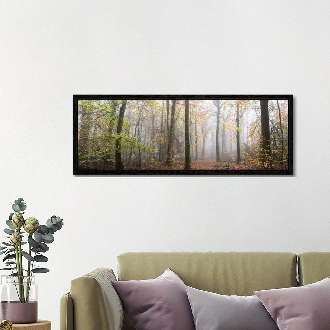 Panoramaspaziergang im Wald von Philippe Manguin - Galerie-verpackte Leinwand Giclée