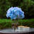 Jahnise Glass Table Vase