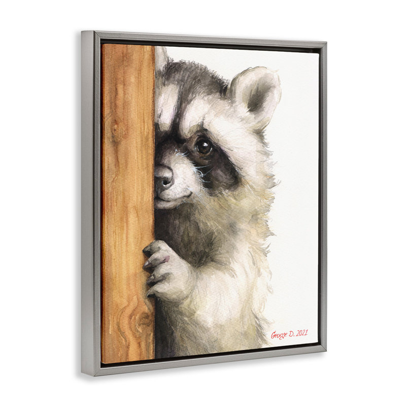 «Peering Raccoon», aquarelle grise encadrée par George Dyachenko, Cadre flottant gris lustré, 31" H x 25" W