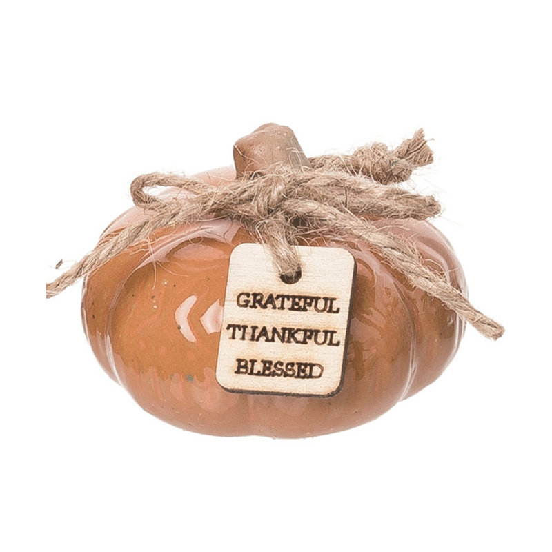  Terracotta 10,75 po. Ensemble de 6 citrouilles rustiques avec étiquette
