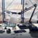 Lightview Pro 33 in. Adjustable Swing Arm Integrated 2.25X Magnifying LED Desk Clamp Lamp