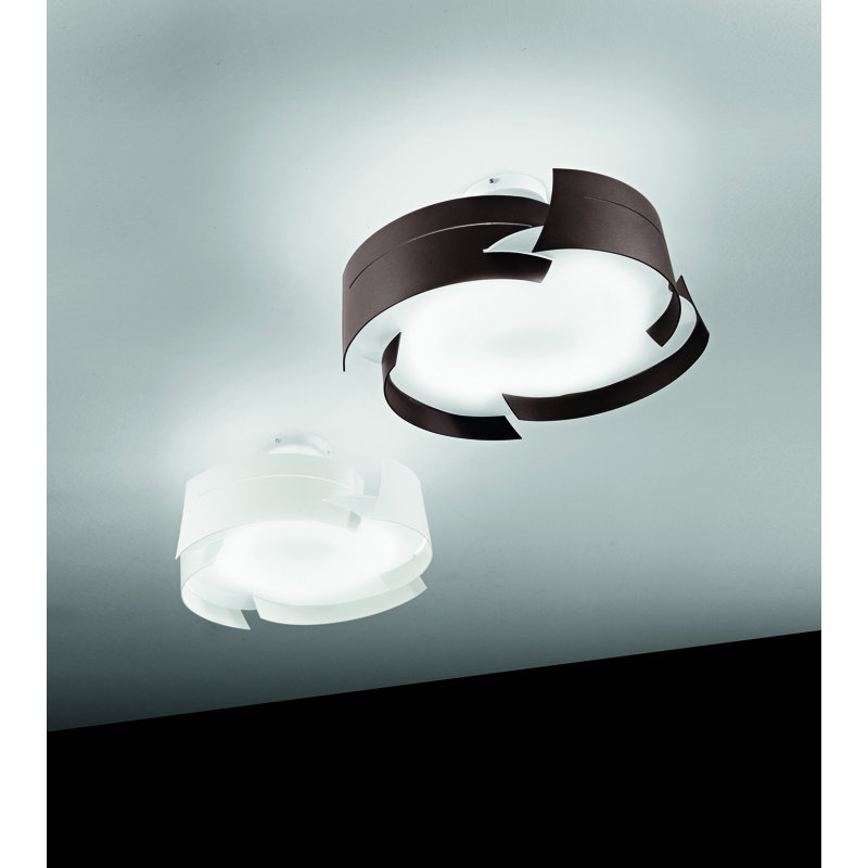 Vulture Acrylic Flush Mount, Bronze, 25 cm H x 59.5 cm Diameter
